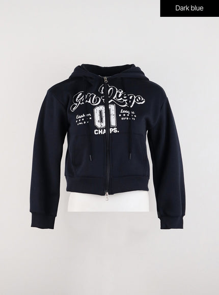 lettering-graphic-zip-up-plush-hoodie-id305