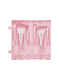 pink-roll-brush-set-6pcs