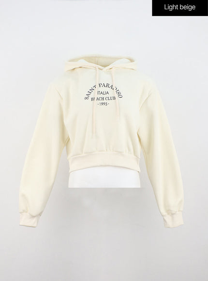 lettering-hooded-crop-sweatshirt-on315