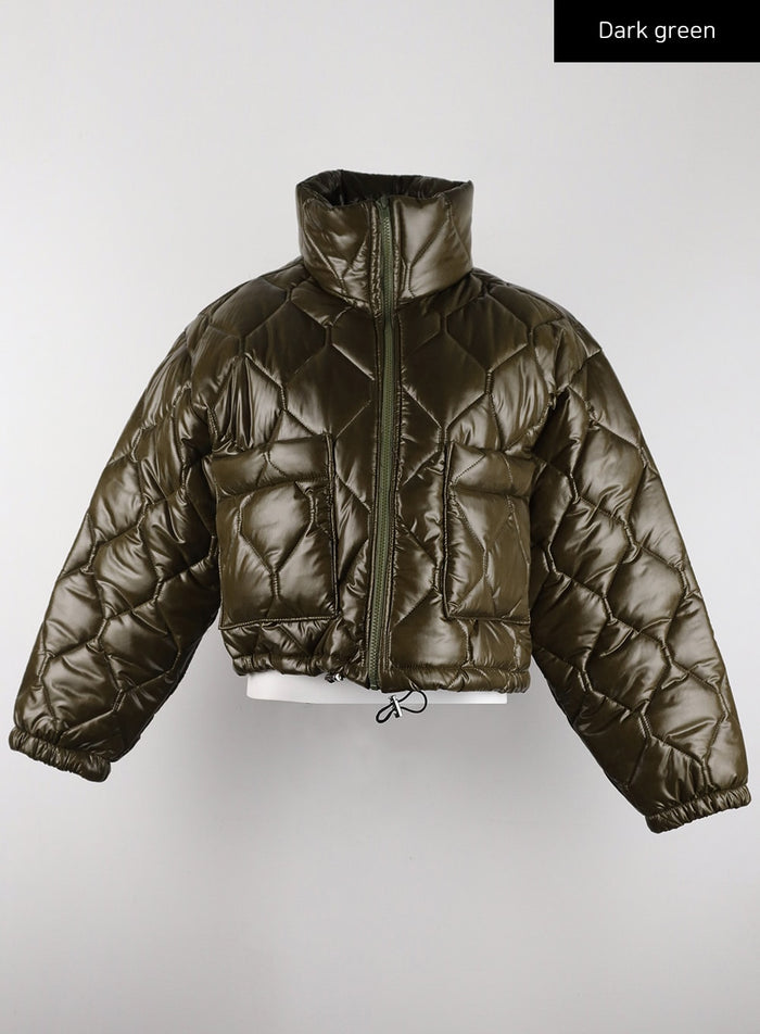 glossy-quilted-puffer-jacket-cd319 / Dark green